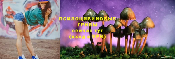 гидропоника Богородск