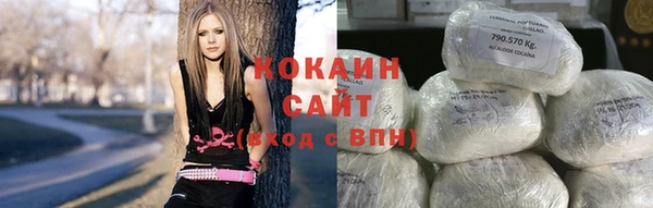 соль ск Богданович