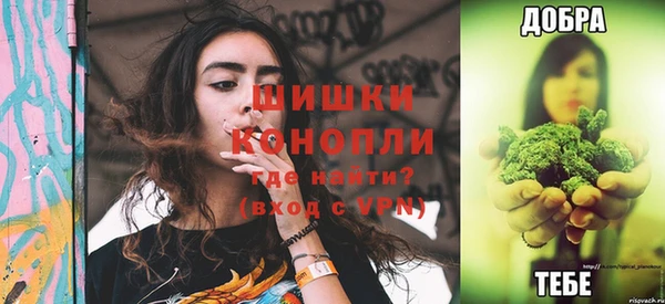 соль ск Богданович