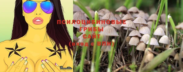 МДМА Богородицк