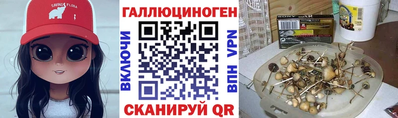 Псилоцибиновые грибы Magic Shrooms Мезень